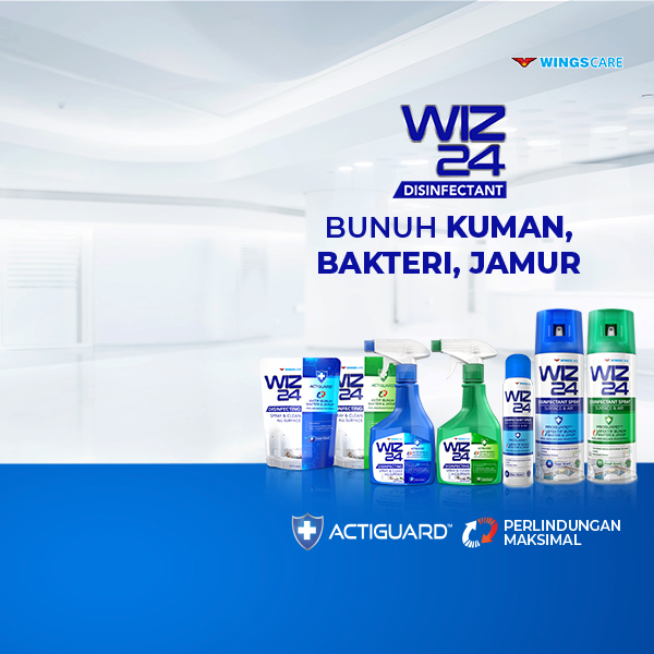 WIZ 24 All Range 2021 – En